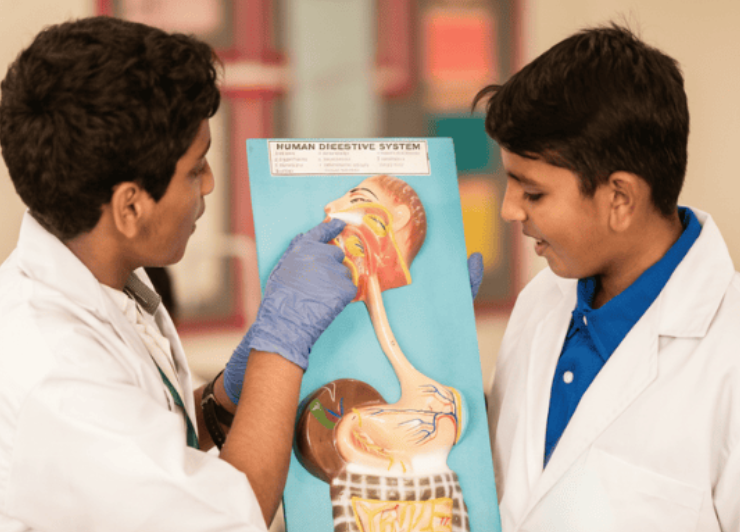 Middle School (Grade 6)